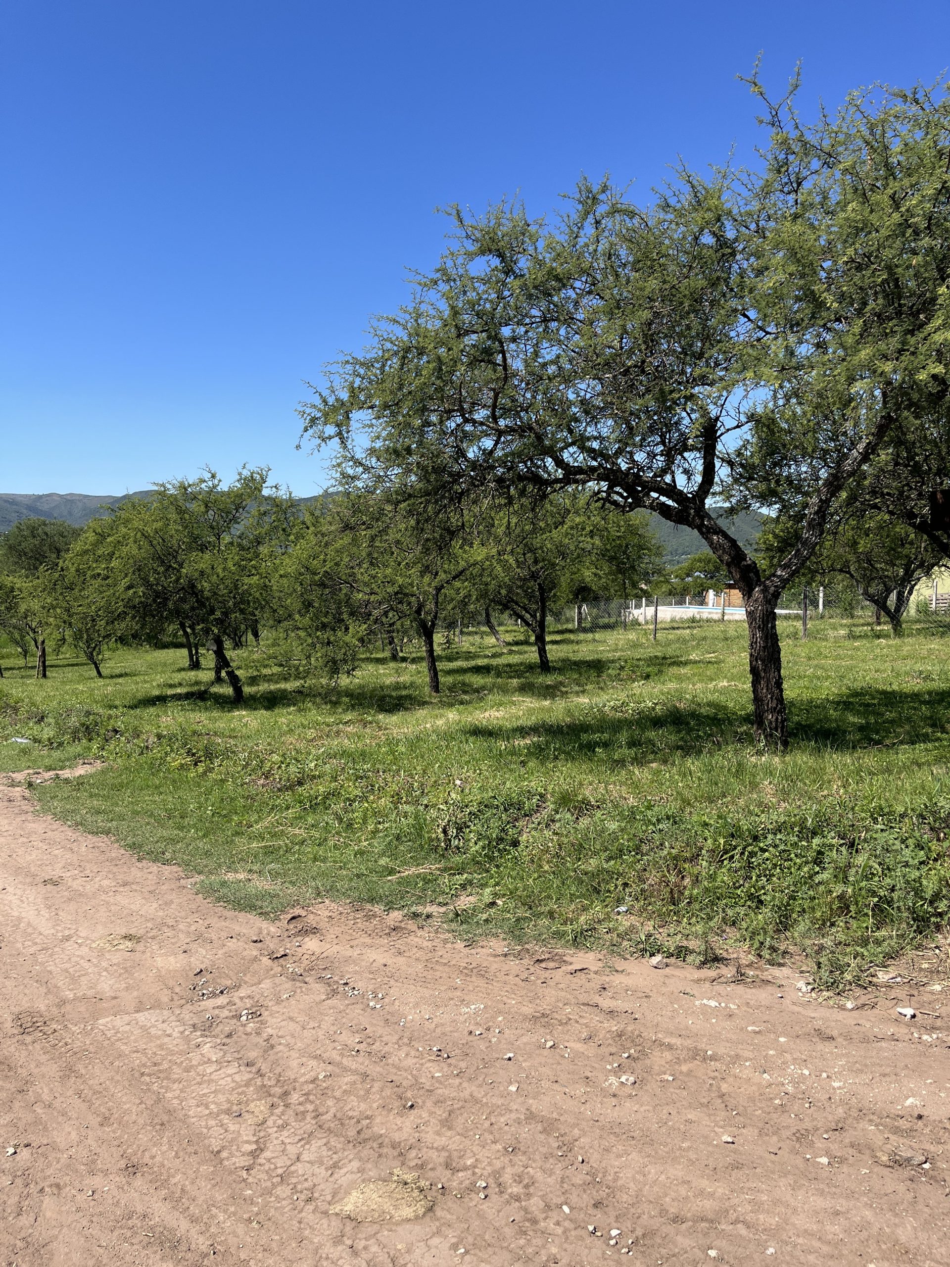 Lote en Barrio Quinto Loteo, Santa Rosa de Calamuchita