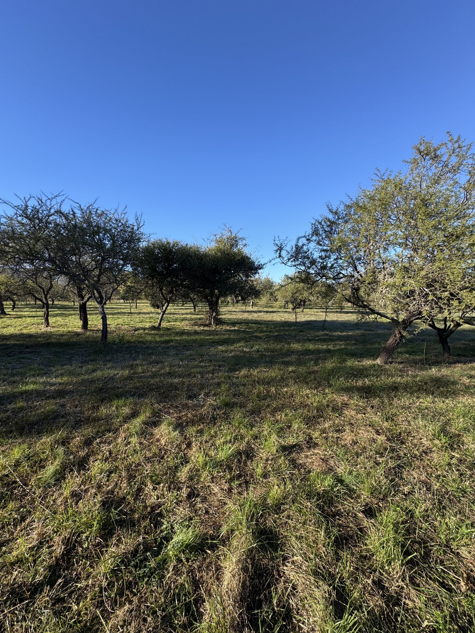 Lotes Villa Adelina