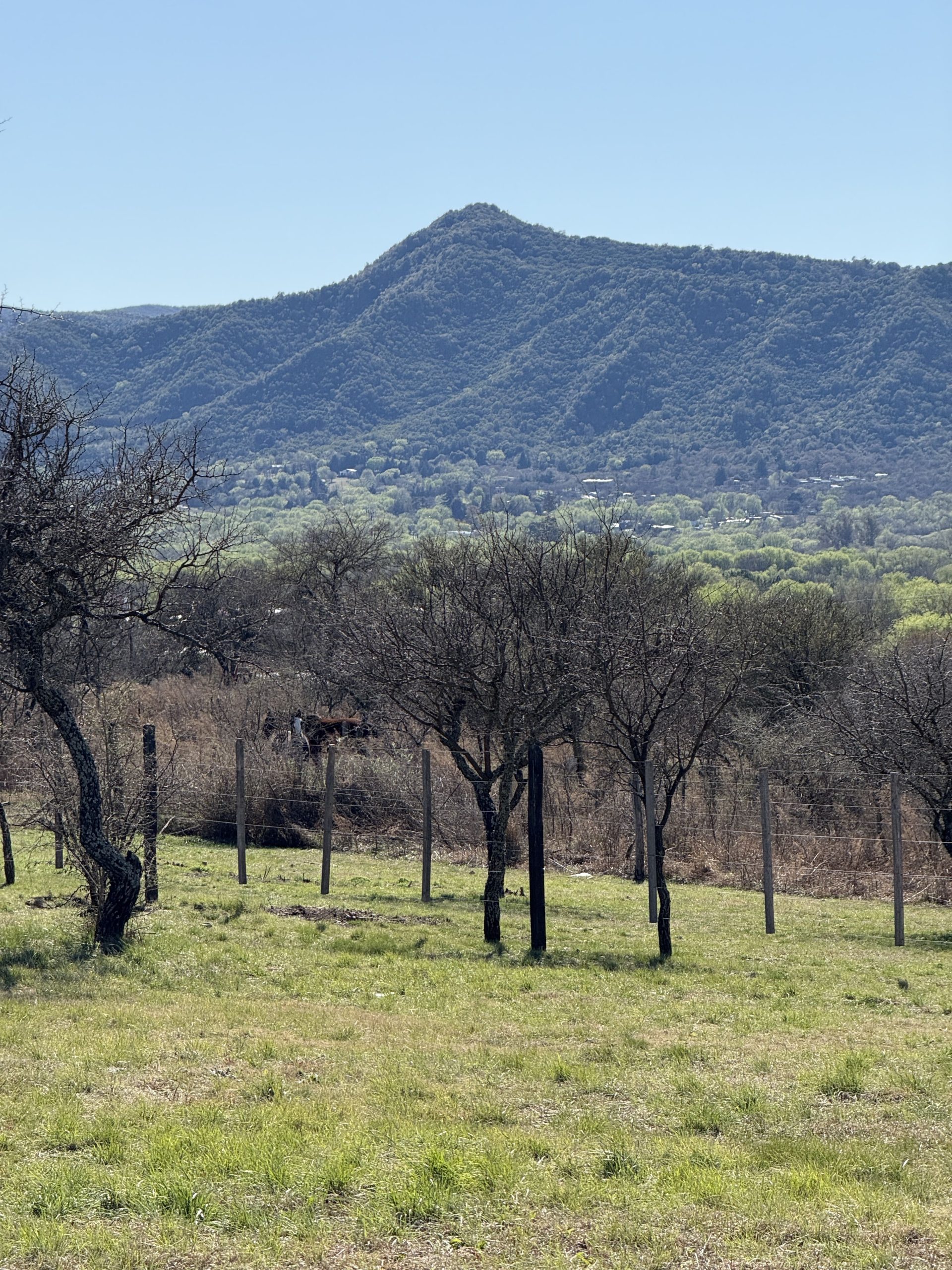 Lote en Barrio Quinto Loteo, Santa Rosa de Calamuchita