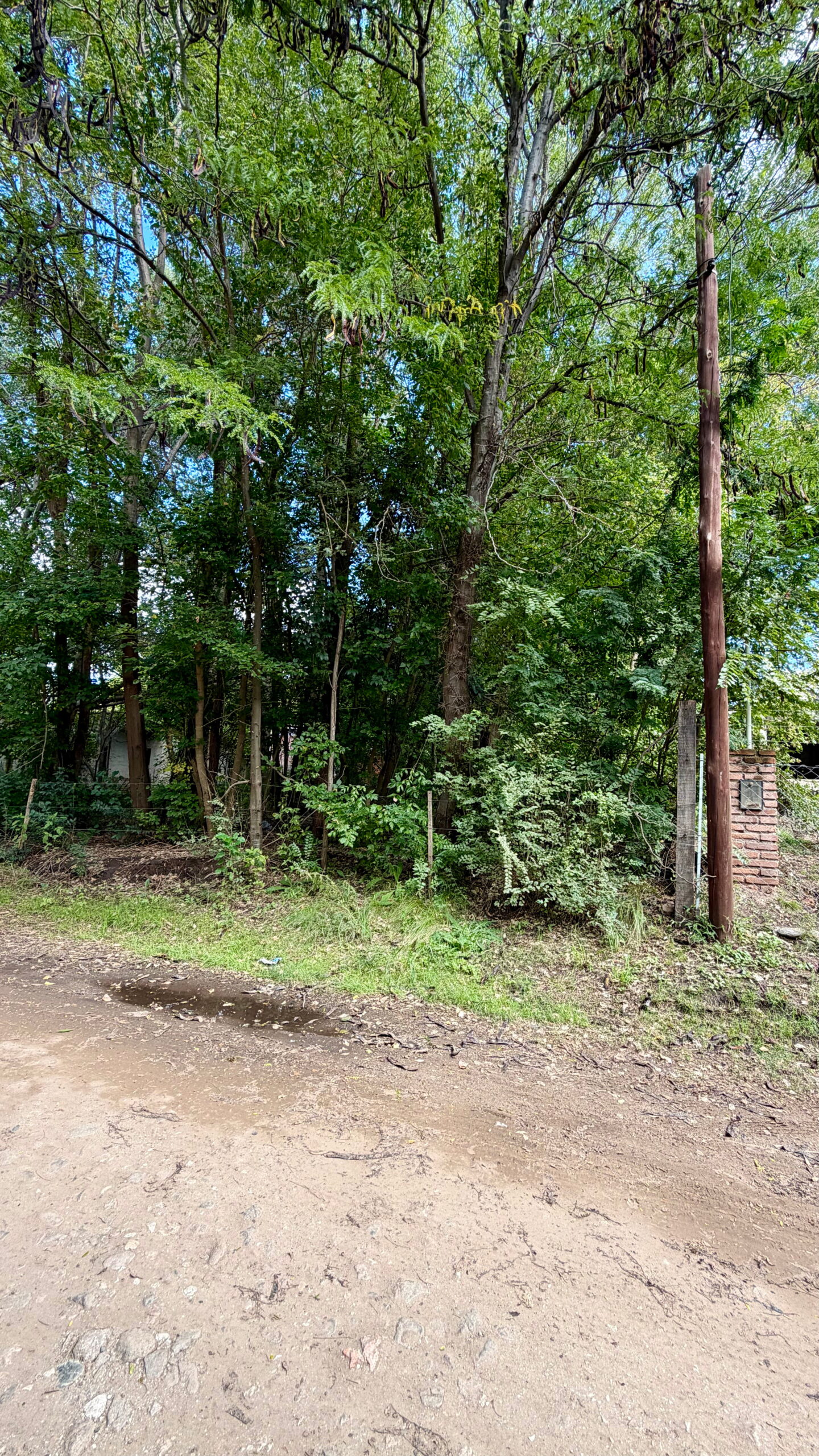 Lote Santa Mónica